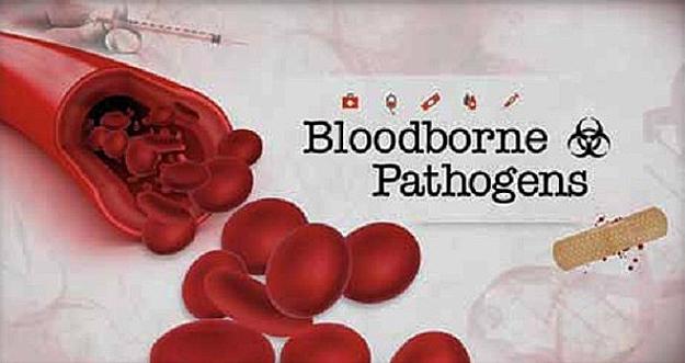 🧬 Bloodborne Pathogens – $30
